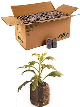 1000 Count (Full Case) – Jiffy 7 Peat Pellets – Seed Starter Soil Plugs – 36 mm – Start Seedlings Indoors – Easy To Transplant