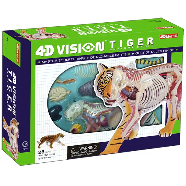 4D Vision Tiger Anatomy Model