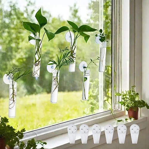 6 pcs Window Propagation Stations, Plant Propagation Tubes with suckion Cups & Nails, Easy to Install Wall Hanging Planter Propagation Station, Glass Plant Terrarium Vase