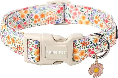 ARING PET Dinosaur Dog Collar-Cute Dog Collar for Small Dogs, Adjustable Dinosaur Print Pet Collars Puppy Collar for Small Medium Large Dogs