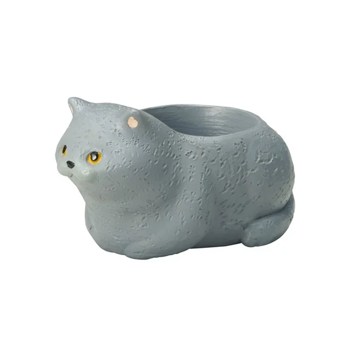 Cat potted succulent non-porous pot British Shorthair