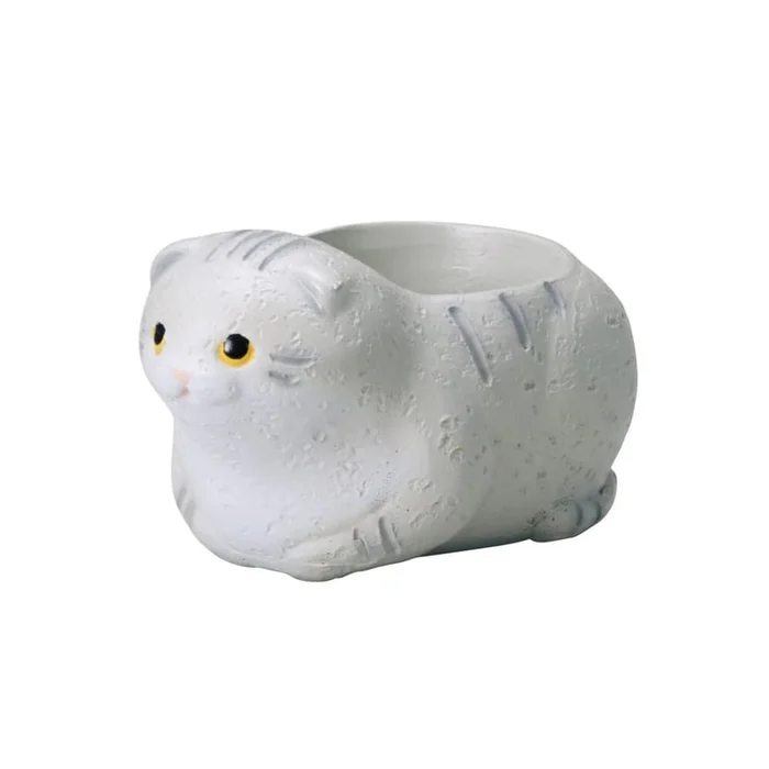 Cat potted succulent non-porous pot Scottish Fold grey
