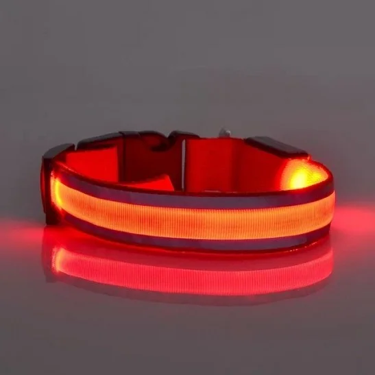 Glow led light dog collars: RED Color