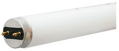 Linear Fluorescent Bulb, T8, Cool White, 32 Watt, 4-ft.
