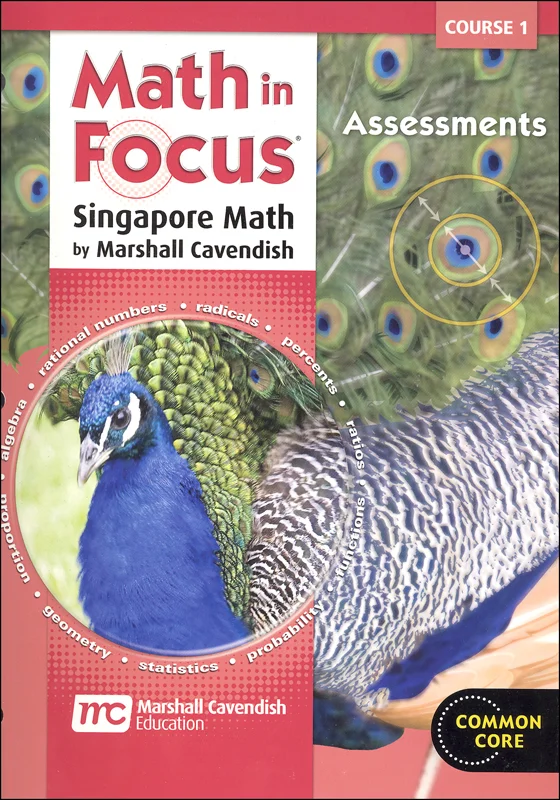 Math in Focus Course 1 Assessments (Gr 6)