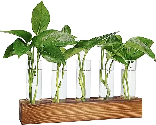 Plant Propagation Station, Plant Terrarium with Wooden Stand, Plant Pots for Hydroponics, Small Birthday Gardening Gifts for Women Mom Plant Lovers Unique – 5 Glass Test Tubes Vases