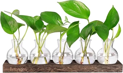 Plant Propagation Station, Plants Terrarium with Wooden Stand 5 Bulb Houseplants Glass Vase for Hydroponic Plants Gift for Plant Lovers Home Office Decor
