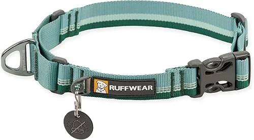 Ruffwear, Web Reaction Dog Collar, Martingale Collar for On-Leash Walking, River Rock Green, 11′-14′