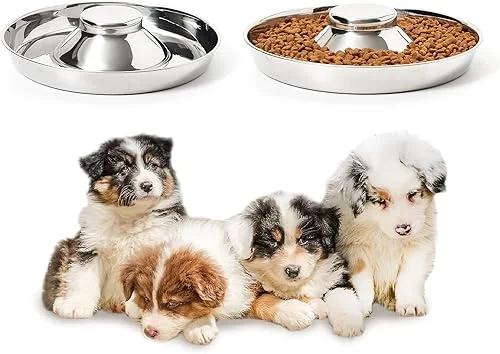 Stainless Steel Puppy Bowls, Set of 2 Puppy Feeder, Dog Food and Water Bowl, Food Feeding Weaning for Small Medium Large Dogs, Pets, M