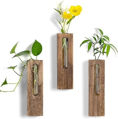 Wall Hanging Glass Planter Tubes – Propagation Station for Indoor Plants Hydroponic Plant Cuttings – Planters Gifts for Mom Wife Women Friend