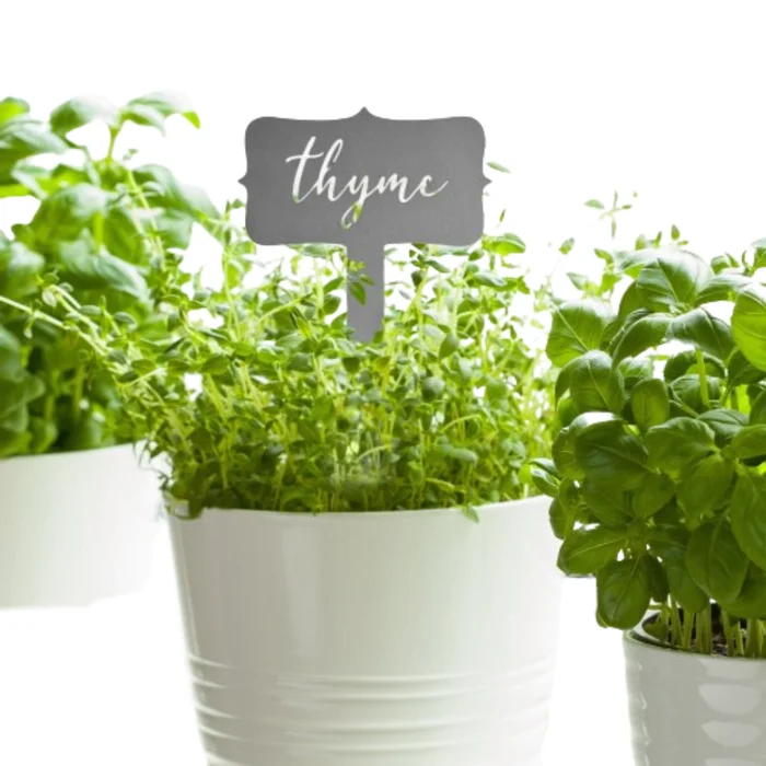 Window Garden Markers Herb Plant Identification Stakes (Choose 5)