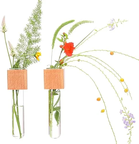 Wooden Wall Planter Glass Plant Propagation Stations Fridge Glass Tube Single Stem Bud Vase 2Pcs/Set Modern Decorative Cube Wood Window Flower Vase Refrigerator Magnetic Mini Glass Vase with Dropper