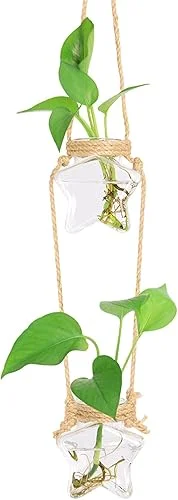XXXFLOWER Wall Hanging Propagation Station,2 Tired Star Shaped Glass Flower Vase for Hydroponic Planter Terrarium for Plant Cutting Home Office Living Room Garden Decor