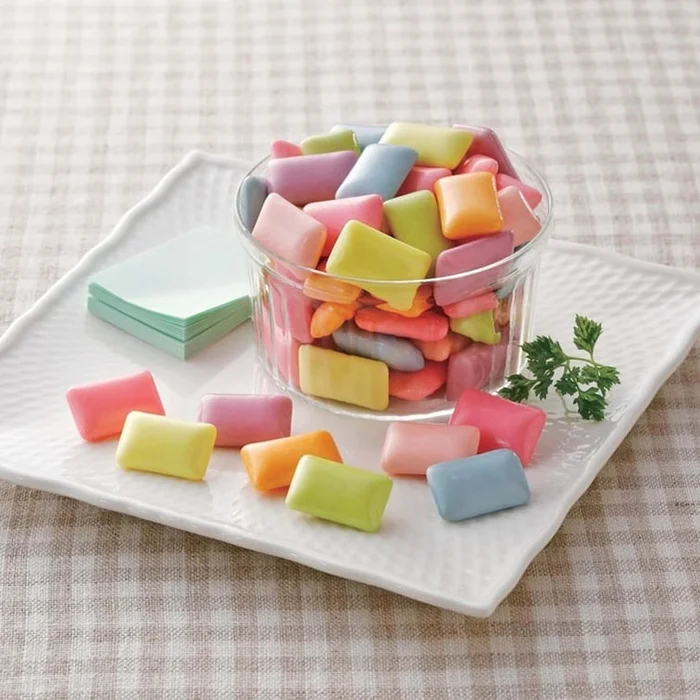 Xylitol Chewing Gum 7 Assorted Fruit Flavors 133g