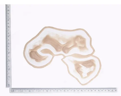 Zombie Forehead and Cheekbones – Z14 Silicone Prosthetic